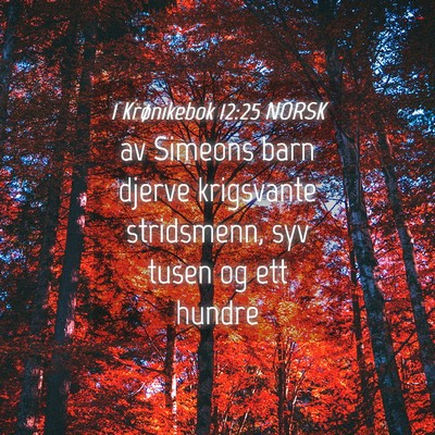 Picture 04 - 1 Krønikebok 12:25 NORSK - av Simeons barn djerve krigsvante stridsmenn, syv - Bible Verse Picture