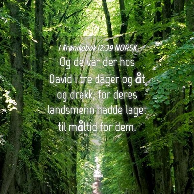 Picture 04 - 1 Krønikebok 12:39 NORSK - Og de var der hos David i tre dager og åt og - Bible Verse Picture