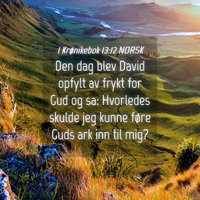 Picture 04 - 1 Krønikebok 13:12 NORSK - Den dag blev David opfylt av frykt for Gud og sa: - Bible Verse Picture