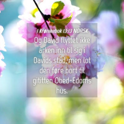 Picture 04 - 1 Krønikebok 13:13 NORSK - Og David flyttet ikke arken inn til sig i Davids - Bible Verse Picture