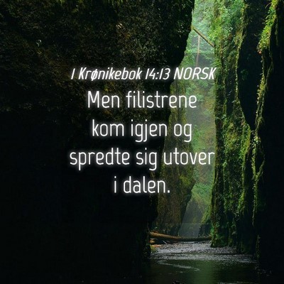 Picture 04 - 1 Krønikebok 14:13 NORSK - Men filistrene kom igjen og spredte sig utover i - Bible Verse Picture