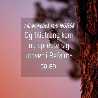 Picture 04 - 1 Krønikebok 14:9 NORSK - Og filistrene kom og spredte sig utover i - Bible Verse Picture