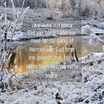 Picture 04 - 1 Krønikebok 15:13 NORSK - Det var fordi I ikke var med første gang at - Bible Verse Picture