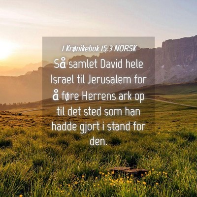 Picture 04 - 1 Krønikebok 15:3 NORSK - Så samlet David hele Israel til Jerusalem for å - Bible Verse Picture