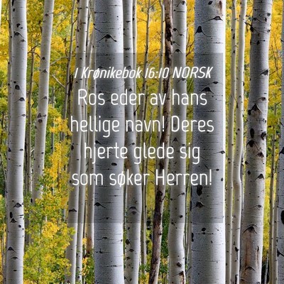 Picture 04 - 1 Krønikebok 16:10 NORSK - Ros eder av hans hellige navn! Deres hjerte glede - Bible Verse Picture