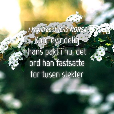 Picture 04 - 1 Krønikebok 16:15 NORSK - Kom evindelig hans pakt i hu, det ord han - Bible Verse Picture