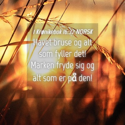 Picture 04 - 1 Krønikebok 16:32 NORSK - Havet bruse og alt som fyller det! Marken fryde - Bible Verse Picture