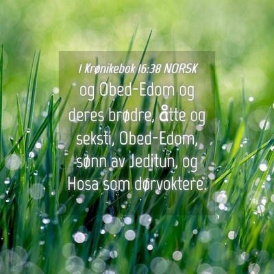 Picture 04 - 1 Krønikebok 16:38 NORSK - og Obed-Edom og deres brødre, åtte og seksti, - Bible Verse Picture