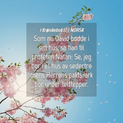 Picture 04 - 1 Krønikebok 17:1 NORSK - Som nu David bodde i sitt hus, sa han til - Bible Verse Picture