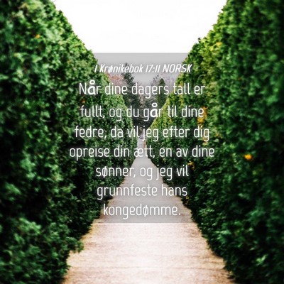 Picture 04 - 1 Krønikebok 17:11 NORSK - Når dine dagers tall er fullt, og du går til - Bible Verse Picture