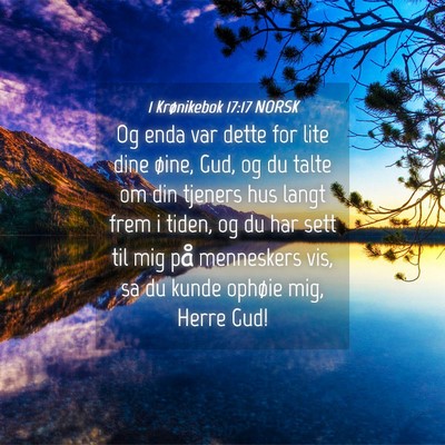 Picture 04 - 1 Krønikebok 17:17 NORSK - Og enda var dette for lite dine øine, Gud, og du - Bible Verse Picture
