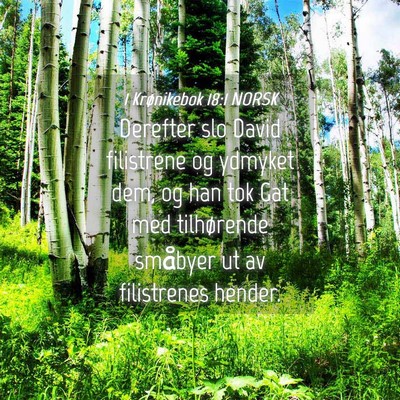 Picture 04 - 1 Krønikebok 18:1 NORSK - Derefter slo David filistrene og ydmyket dem, og - Bible Verse Picture