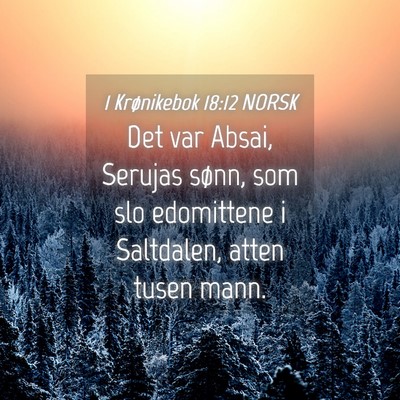 Picture 04 - 1 Krønikebok 18:12 NORSK - Det var Absai, Serujas sønn, som slo edomittene - Bible Verse Picture