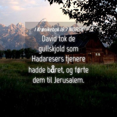Picture 04 - 1 Krønikebok 18:7 NORSK - David tok de gullskjold som Hadaresers tjenere - Bible Verse Picture