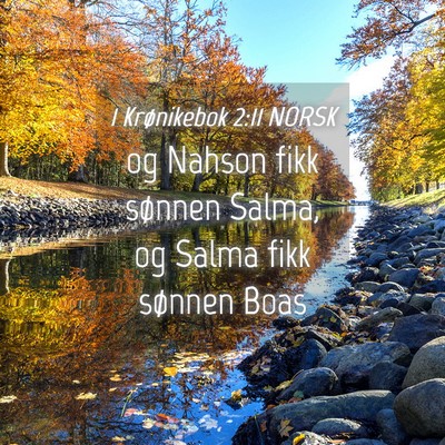 Picture 04 - 1 Krønikebok 2:11 NORSK - og Nahson fikk sønnen Salma, og Salma fikk - Bible Verse Picture