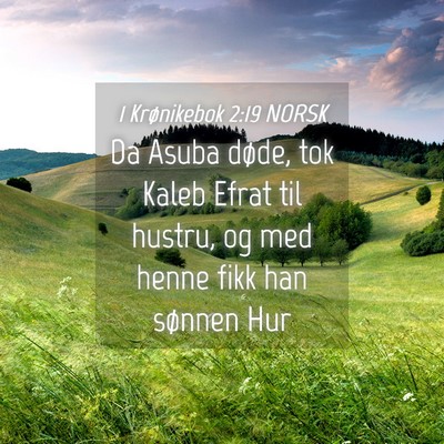 Picture 04 - 1 Krønikebok 2:19 NORSK - Da Asuba døde, tok Kaleb Efrat til hustru, og - Bible Verse Picture