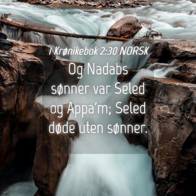 Picture 04 - 1 Krønikebok 2:30 NORSK - Og Nadabs sønner var Seled og Appa'm; Seled - Bible Verse Picture