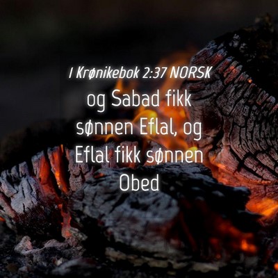 Picture 04 - 1 Krønikebok 2:37 NORSK - og Sabad fikk sønnen Eflal, og Eflal fikk - Bible Verse Picture