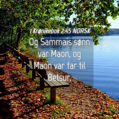 Picture 04 - 1 Krønikebok 2:45 NORSK - Og Sammais sønn var Maon, og Maon var far til - Bible Verse Picture