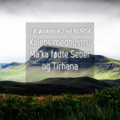 Picture 04 - 1 Krønikebok 2:48 NORSK - Kalebs medhustru Ma'ka fødte Seber og - Bible Verse Picture