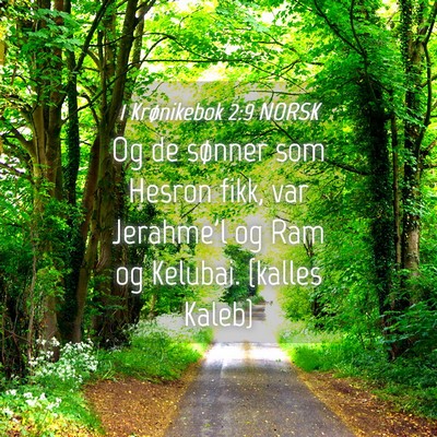 Picture 04 - 1 Krønikebok 2:9 NORSK - Og de sønner som Hesron fikk, var Jerahme'l og - Bible Verse Picture