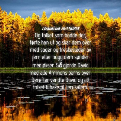 Picture 04 - 1 Krønikebok 20:3 NORSK - Og folket som bodde der, førte han ut og skar - Bible Verse Picture