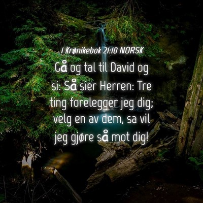 Picture 04 - 1 Krønikebok 21:10 NORSK - Gå og tal til David og si: Så sier Herren: Tre - Bible Verse Picture