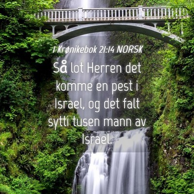 Picture 04 - 1 Krønikebok 21:14 NORSK - Så lot Herren det komme en pest i Israel, og det - Bible Verse Picture