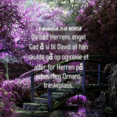 Picture 04 - 1 Krønikebok 21:18 NORSK - Da bød Herrens engel Gad å si til David at han - Bible Verse Picture