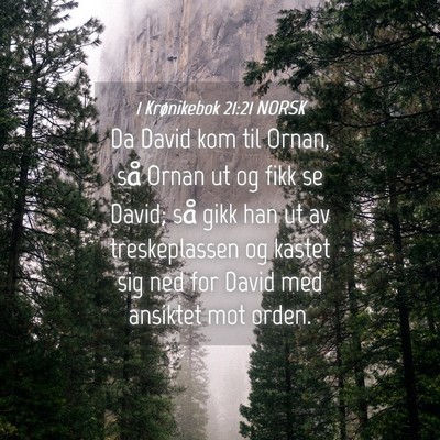 Picture 04 - 1 Krønikebok 21:21 NORSK - Da David kom til Ornan, så Ornan ut og fikk se - Bible Verse Picture