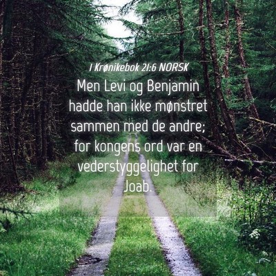 Picture 04 - 1 Krønikebok 21:6 NORSK - Men Levi og Benjamin hadde han ikke mønstret - Bible Verse Picture