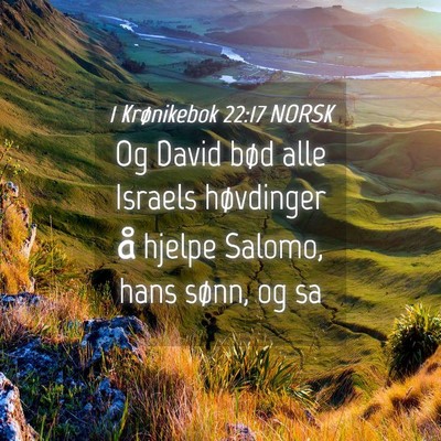 Picture 04 - 1 Krønikebok 22:17 NORSK - Og David bød alle Israels høvdinger å hjelpe - Bible Verse Picture