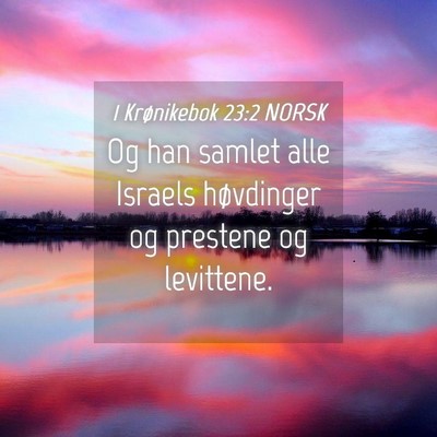 Picture 04 - 1 Krønikebok 23:2 NORSK - Og han samlet alle Israels høvdinger og prestene - Bible Verse Picture