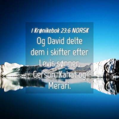 Picture 04 - 1 Krønikebok 23:6 NORSK - Og David delte dem i skifter efter Levis sønner, - Bible Verse Picture