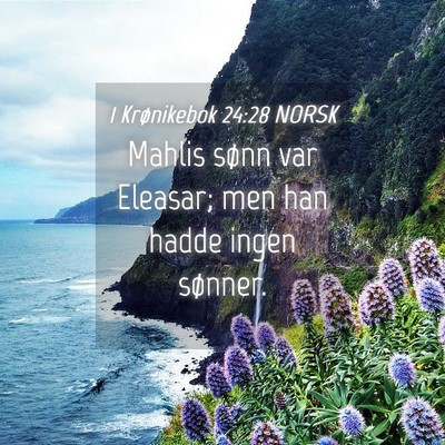 Picture 04 - 1 Krønikebok 24:28 NORSK - Mahlis sønn var Eleasar; men han hadde ingen - Bible Verse Picture