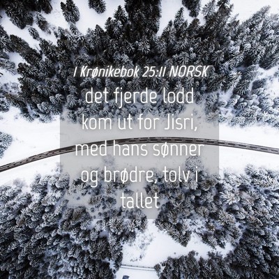Picture 04 - 1 Krønikebok 25:11 NORSK - det fjerde lodd kom ut for Jisri, med hans - Bible Verse Picture