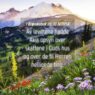Picture 04 - 1 Krønikebok 26:20 NORSK - Av levittene hadde Akia opsyn over skattene i - Bible Verse Picture