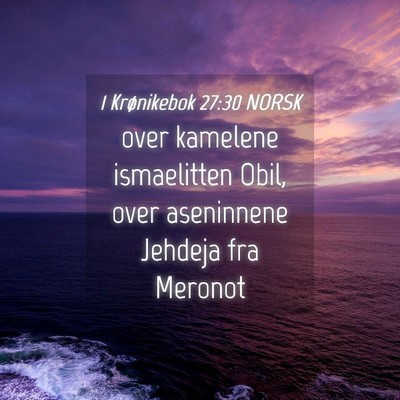 Picture 04 - 1 Krønikebok 27:30 NORSK - over kamelene ismaelitten Obil, over aseninnene - Bible Verse Picture