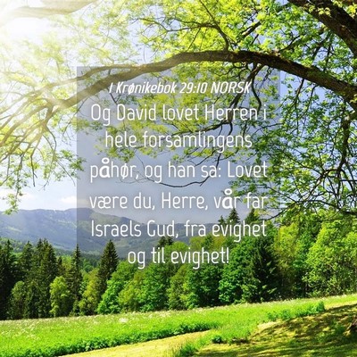 Picture 04 - 1 Krønikebok 29:10 NORSK - Og David lovet Herren i hele forsamlingens - Bible Verse Picture