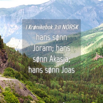 Picture 04 - 1 Krønikebok 3:11 NORSK - hans sønn Joram; hans sønn Akasja; hans sønn - Bible Verse Picture