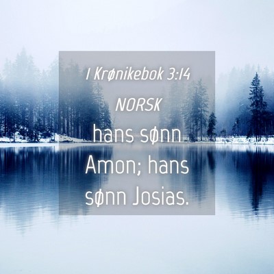 Picture 04 - 1 Krønikebok 3:14 NORSK - hans sønn Amon; hans sønn - Bible Verse Picture