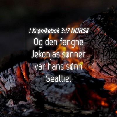 Picture 04 - 1 Krønikebok 3:17 NORSK - Og den fangne Jekonjas sønner var hans sønn - Bible Verse Picture