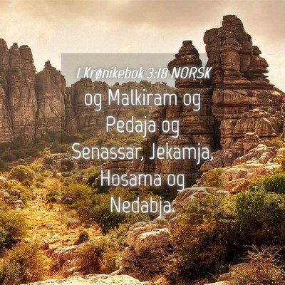 Picture 04 - 1 Krønikebok 3:18 NORSK - og Malkiram og Pedaja og Senassar, Jekamja, - Bible Verse Picture