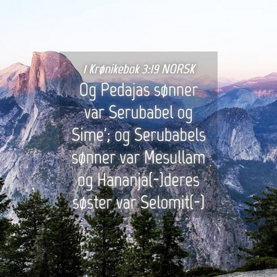 Picture 04 - 1 Krønikebok 3:19 NORSK - Og Pedajas sønner var Serubabel og Sime'; og - Bible Verse Picture