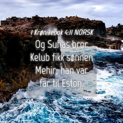Picture 04 - 1 Krønikebok 4:11 NORSK - Og Suhas bror Kelub fikk sønnen Mehir; han var - Bible Verse Picture