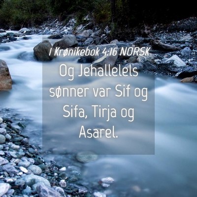 Picture 04 - 1 Krønikebok 4:16 NORSK - Og Jehallelels sønner var Sif og Sifa, Tirja og - Bible Verse Picture