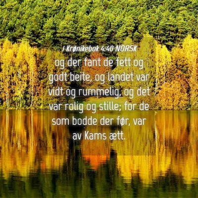 Picture 04 - 1 Krønikebok 4:40 NORSK - og der fant de fett og godt beite, og landet var - Bible Verse Picture