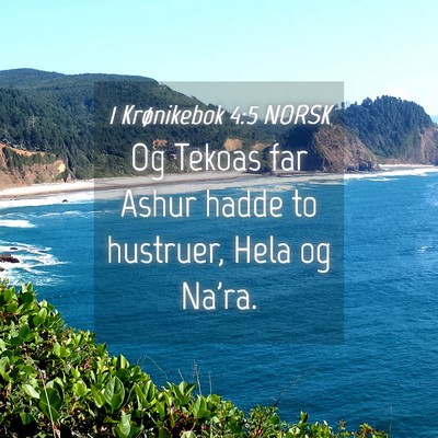 Picture 04 - 1 Krønikebok 4:5 NORSK - Og Tekoas far Ashur hadde to hustruer, Hela og - Bible Verse Picture