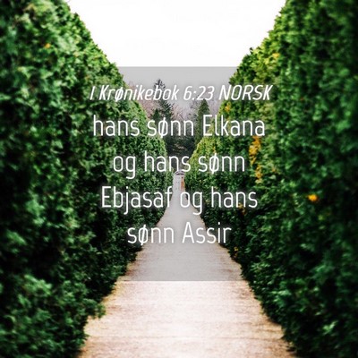 Picture 04 - 1 Krønikebok 6:23 NORSK - hans sønn Elkana og hans sønn Ebjasaf og hans - Bible Verse Picture