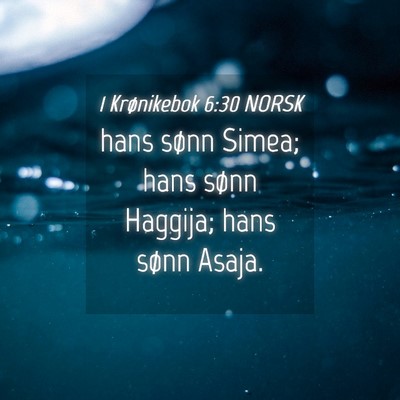 Picture 04 - 1 Krønikebok 6:30 NORSK - hans sønn Simea; hans sønn Haggija; hans sønn - Bible Verse Picture